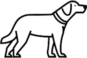 outline vector image of a dog